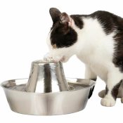 Hundmatare PetSafe Silvrig Rostfritt stl 1,8 L