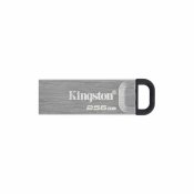Minnessticka Kingston DTKN/256GB USB 3.2 Silvrig Svart 256 GB