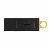 USB-minne Kingston DTX/128GB Svart 128 GB