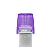 USB-minne Kingston DTDUO3CG3/256GB Violett Svart Purpur Stl 256