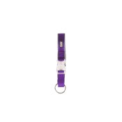 Hundhalsband Dog Gone Smart Purpur 12 Ljus