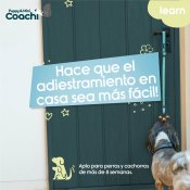Hundsele Coachi