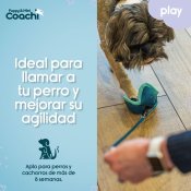 Hundsele Coachi