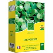 Frn BHS Dichondra