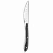 Bordskniv Amefa Bistro Metall Dvobarvna (23 cm) (Pack 6x)