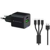 Vggladdare Conceptronic 120550503101 Svart 33 W (2 antal)