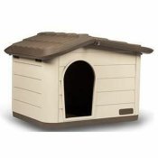 Kattsng Kerbl Beige