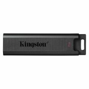 USB-minne Kingston DTMAX/1TB Svart 1 TB