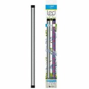 LED Ljus Ciano Cla20 1,5 W