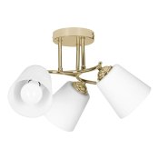 Inbyggt spotlight Activejet AJE-EMILY 3P GD 120 W