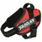Hundsele Julius K9 IDC Rd
