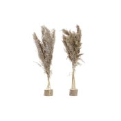 Dekorativ vxt DKD Home Decor PVC Fjdrar Naturell 35 x 25 x 55