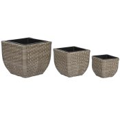 Set med planteringskrl Home ESPRIT polypropen Rattan 40 x 40 x