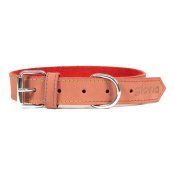 Hundhalsband Gloria Oasis Rd (60 x 3 cm)