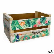 Frvaringslda Confortime Paradise (3 antal) (44 x 24,5 x 23 cm)