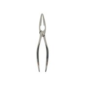 Skaldjurstng Koala Eco Friendly Stl Metall 20 x 4 x 1 cm