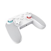Fjrrkontroll Pro till Nintendo Switch + USB-kabel Trust GXT 124