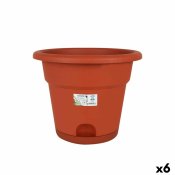 Blomkruka med fat Dem Greentime Brun  35 x 28,5 cm (6 antal)