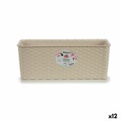 Blomlda Stefanplast 15,5 x 13,5 x 38,5 cm Beige Plast (12 antal