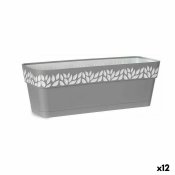 Blomlda Stefanplast Cloe Gr Plast 49,5 x 17 x 19 cm (12 antal)