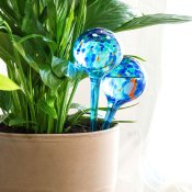Automatiska bevattningsglober AquaLoon InnovaGoods 2 antal