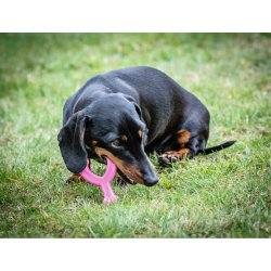 Tuggleksak fr hundar Nylabone WISHBONE Rosa Kyckling XS