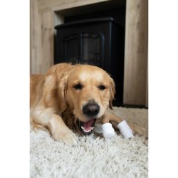 Hundleksak Nylabone Brun Jordntssmr L