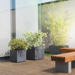 Sjlvvattnande planter Deroma Antracitgr 79 cm Plast Rektangul