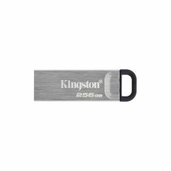 Minnessticka Kingston DTKN/256GB 256 GB USB 3.2 Svart 256 GB
