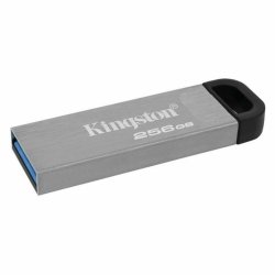 Minnessticka Kingston DTKN/256GB 256 GB USB 3.2 Svart 256 GB