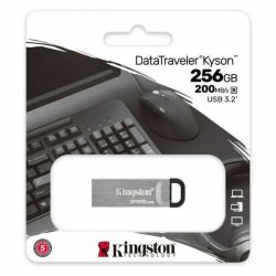 Minnessticka Kingston DTKN/256GB 256 GB USB 3.2 Svart 256 GB
