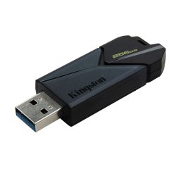 USB-minne Kingston DTXON/256GB 256 GB