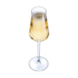 Champagneglas Chef & Sommelier Transparent Glas (21 cl)