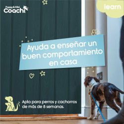 Hundsele Coachi
