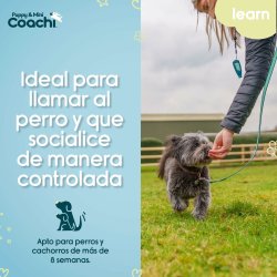 Hundsele Coachi
