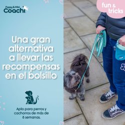 Hundsele Coachi