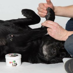 Vax Pawz MAXWAX 200 gr