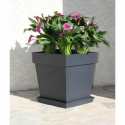 Kruka EDA Gr polypropen Plast 39 cm 39 x 39 x 39 cm