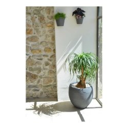 Kruka EDA Graphit Rund Plast Mrkgr ( 50 x 45 cm)