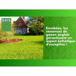 Frn BHS Gazon Anglais 10 kg