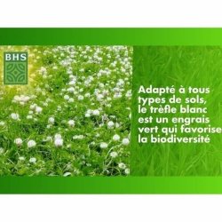 Frn BHS Trfle Blanc 500 g