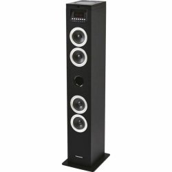 Hgtalare Thomson DS120CD