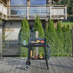 Brbar Grill Livoo Rostfritt stl