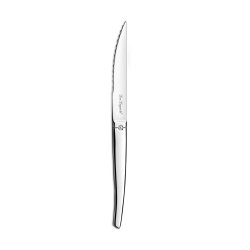 Set med kttknivar Amefa Jet Metall Rostfritt stl 12 antal