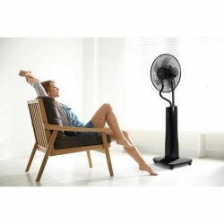 Stende Flkt Oceanic