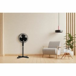 Stende Flkt Oceanic