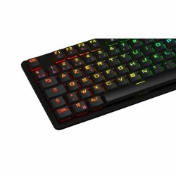 Gaming Tangentbord/ OR: Speltangentbord The G-Lab KEYZ PLATI. TK