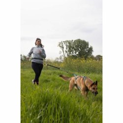DoHundkoppel Svart XL