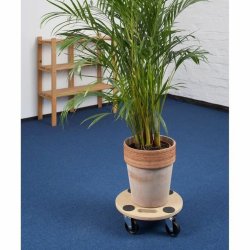 Plattform Meister  35 cm 150 kg
