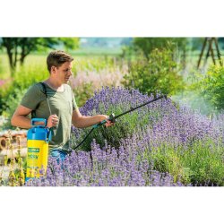 Tryckspruta fr trdgrd Gloria Hobby Exclusiv Plast 3 BAR 5 L